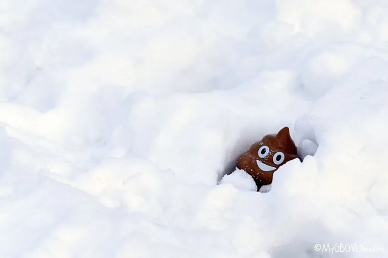 poop-buried-in-snow